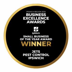 jets pest control ipswich